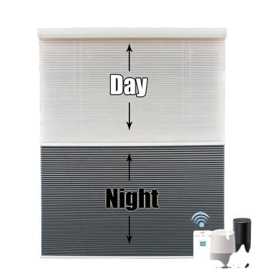 China Europe Customize Smart Motorized Honeycomb Blinds Full Height Day And Night Double Blackout Shades for sale