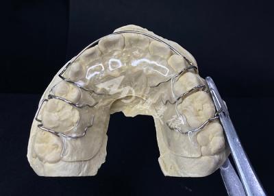 Cina Confortevole da indossare il conservatore Hawley dell'AMD Dental Lab per un'ortodonzia sicura e sana in vendita