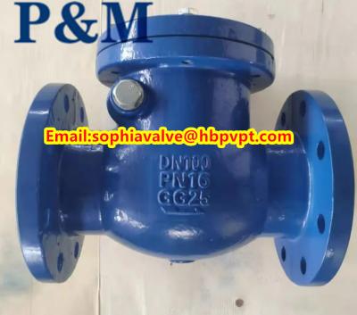 China DN100 PN16 GG25 cast iron swing check valve for sale