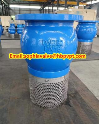 China PN16 GG25 cast iron foot valve for sale