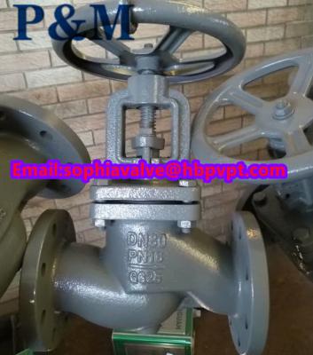 China DIN3356 BODY GG25 bellows globe valve PN16 for sale