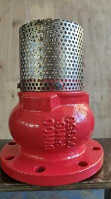 China screen SS304 DN100 PN16 GGG50 foot valve for sale