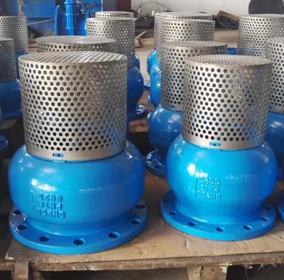 China DN250 PN16 GG25 Screen SS304 foot valve for sale