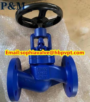 China DIN GG25 PN16 cast iron globe valve made in China for sale