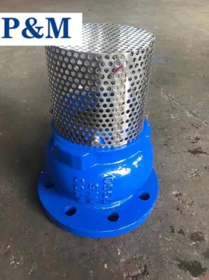 China DN100 PN16 GGG50 cast iron flanged foot valve for sale