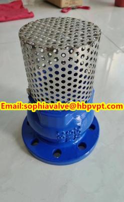 China 2024 hot sale flanged foot valve material GGG40 for sale