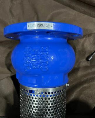 China EPDM seal ductile iron flanged foot valve made in China for sale