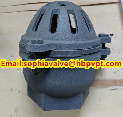 China BRITISH STANDARD BS21 cast iron threaded foot valve for sale