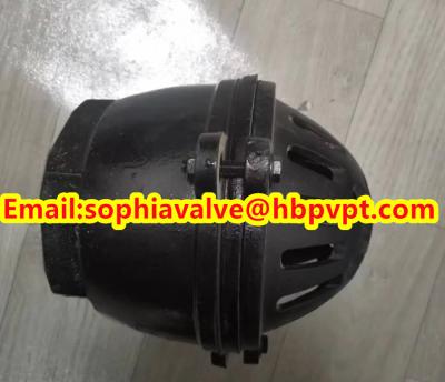 China PN16 GG20 BS21 cast iron foot valve for sale