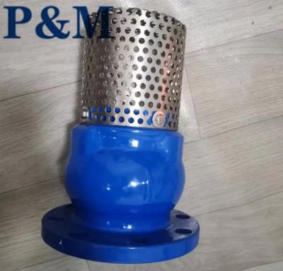 China Ductile iron ANSI flanged foot valve for sale