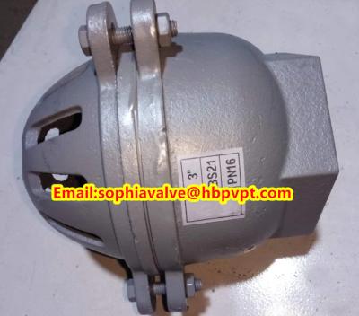 China female thread foot valve material GG20 for sale