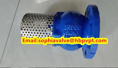 China DN80 GGG50 PN16 cast iron flanged foot valve for sale