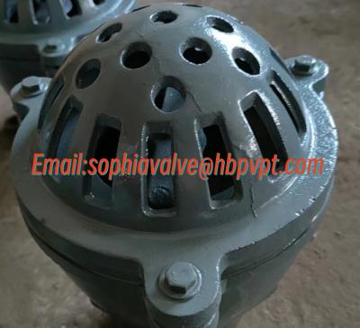 Китай BS21 PN10 cast iron threaded foot valve продается