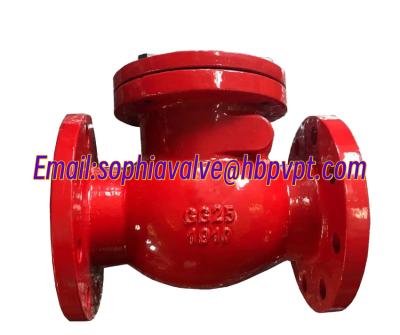 China DIN standard GG25 metal seal check valve for sale