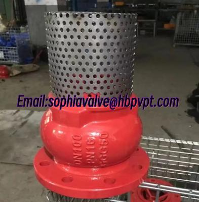 China DN100 PN16 GGG50 ductile iron foot valve supplier for sale