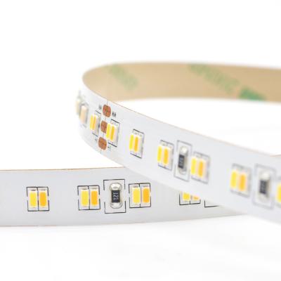 China INDOOR Color ETL 5years Warranty 23W SMD3014 224LEDs/m CRI90 10MM PCB LED Strip Light USE TDC LED Variable Strip For Party for sale