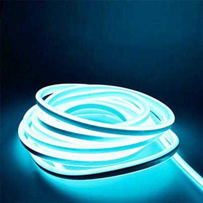 China LANDSCAPE 5M Each Roll Neon Led Strips SMD2835 120 Beads Meter Each Neon Light To Wedding Room Decoration DC12V Luces Led Neon for sale