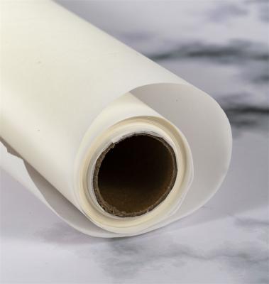 China Good Quality Silicone Household Heat Resistance Greaseproof Customized Small Baking Paper Roll for sale