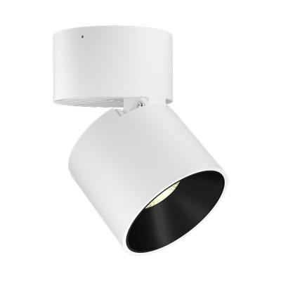 China Commercial / Modern Rotating COB Spotlight Lamp Adjustable Led Indoor Led Spot Lighting for sale