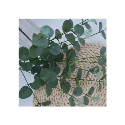 China Professional Silk Fabric Manufacturer Simulation Eucalyptus Leaf Silver Leaf Simulation for sale