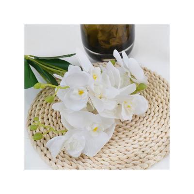 China Wholesale High Quality Phalaenopsis Silk Fabric Original Factory Touch Artificial Flowers Real for sale