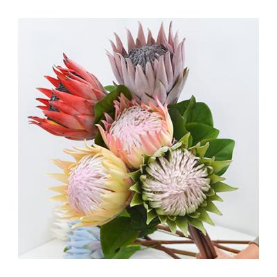 China Silk Made In China Top Quality Large Protea Pitaya Simulation Overlord Flower for sale