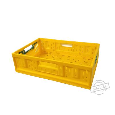 China Folding Plastic Container Heavy Duty Collapsible Crate For Fruits And Vegetables for sale