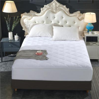 China Waterproof Spruce Washable 100% Cotton Mattress Protector Waterproof With 0.025mmTPU Quilted Mattress Cover for sale