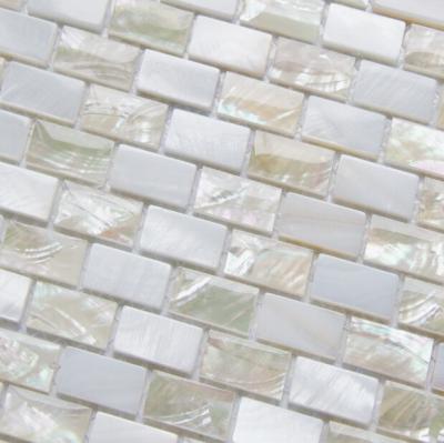 China Sea shell Mosaic Freshwater Shell Mixed White Abalone Shell Mosaic Square Pieces 10x20mm for sale