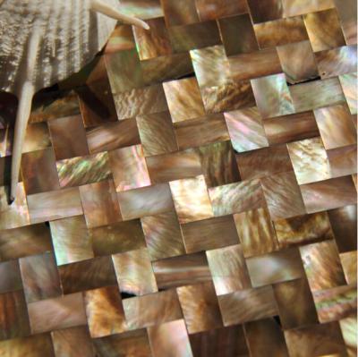 China Natural Sea shell Wall Covering Penguin Shell Decorating Wall Panel Square Pieces 10x20mm for sale