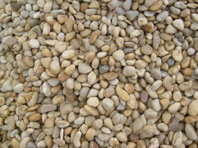 China Washed White Pebble Stones,White Cobble Stones,White River Stones,Cobble River Pebbles,Landscaping Pebbles for sale