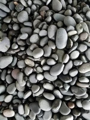 China Water Washed Black Pebble Stones,Black Cobble Stones,Black River Stones,Cobble River Pebbles,Landscaping Pebbles for sale