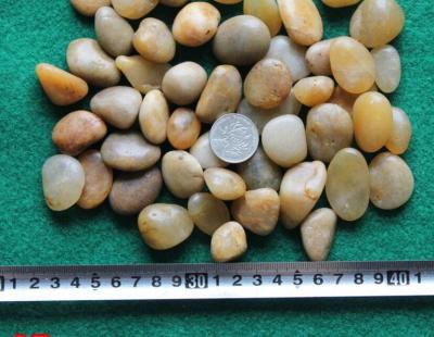 China Polished Pebble Stones,Yellow Cobble Stones,Yellow River Stones,Cobble River Pebbles,Landscaping Pebbles for sale