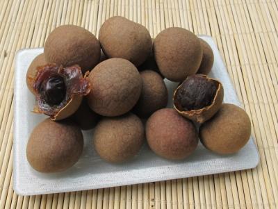 China Dried Longan,dried longana,Dried Longan fruit for sale