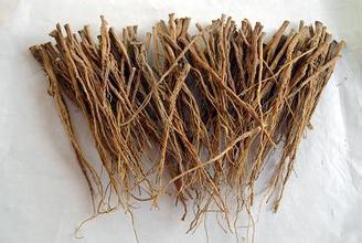 China radix bupleuri,Radix Bupleuri Chinensis ,Chinese Thorowax Root for sale