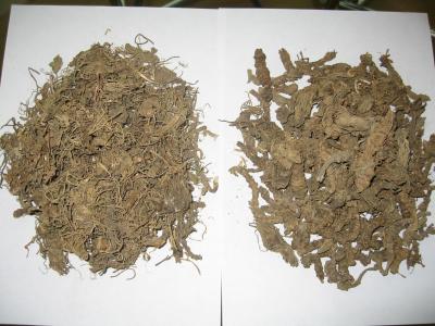 China Valerian roots ;Valeriana officinalis L. Valeriana Linn. for sale