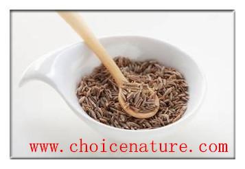 China Cumin seed & powder,Cuminum cyminum L, ,Spices,Food& flavor enhancers, for sale