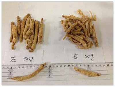 China High Quality Low Pesticide White Ginseng Roots,low pestcide ginseng ,Panax ginseng for sale