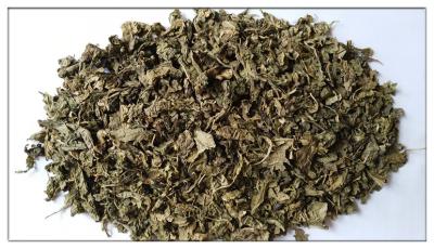 China Wolfberry leaf;Gojiye ,Lycium barbarum L. for sale