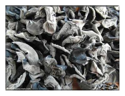 China Dried Black Fungus/Edible Black Fungus for sale