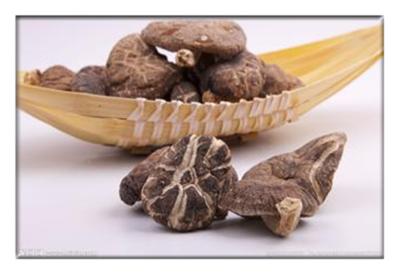 China Dried mushroom, ediable mushroom , Dried Agaricus campestris,Dried Shiitake Mushroom for sale