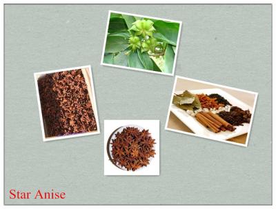 China Star Anise,Dry Aniseed ,Illicium verum Hook.f, for sale