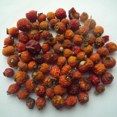 China Rosehip,Fructus rosae for sale