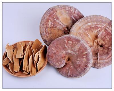 China GanodermaLucidum,Organic Raw Dry Ganoderma Lucidum Slices for sale