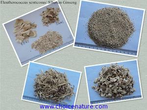 China Eleutherococcus senticosus root powder,Radix Acanthopanacis powder,Siberian ginseng powder for sale