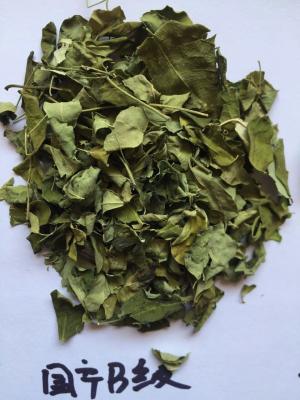 China Dry Moringa Oleifera leaf,Moringa leaf,Moringa leaf extract powder for sale