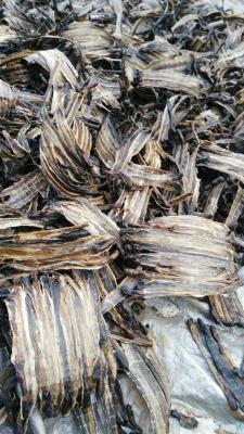 China Dried whole Earthworm，Pheretima aspergillum (E. Perrier),PberetimaChinese Name:Dilong for sale