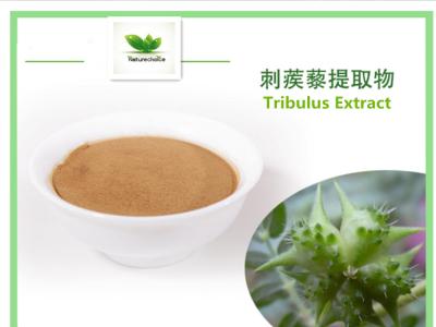 China Tribulus extract,Tribulus Terrestris Extract,Saponins for sale