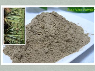 China Aloe Vera Powder,Aloe Vera Freeze Dry powder,Aloe Vera FD powder,Aloe Vera extract powder for sale