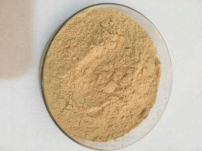 China Maca Root Extract for sale